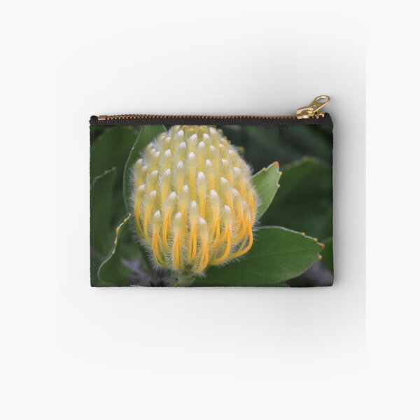 Item preview, Leucospermum cuneiforme designed and sold by Rina Greeff.