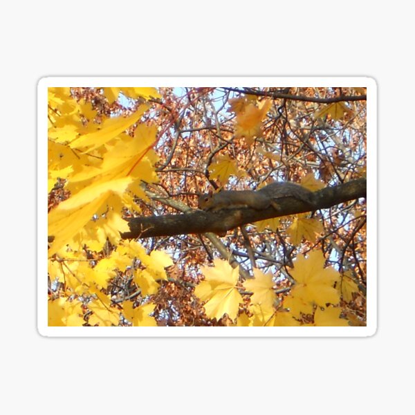 Become the Branch... Sticker