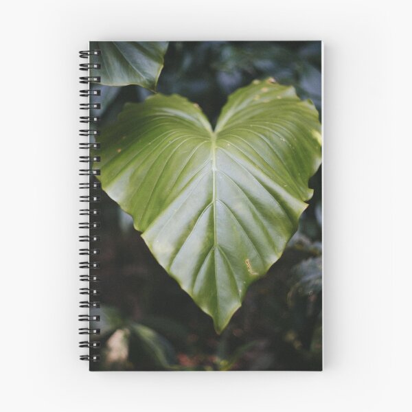 Aperçu de l'œuvre coeur vert créée et vendue par sueham.