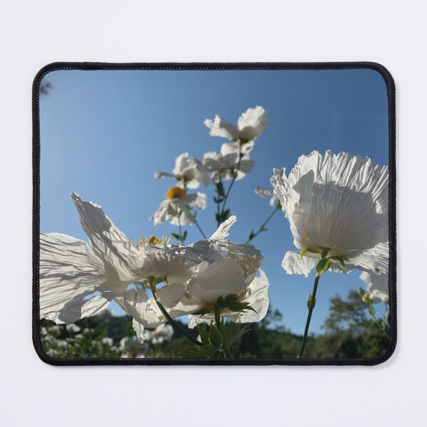 Item preview, Spring - White Poppies designed and sold by agnessa38.