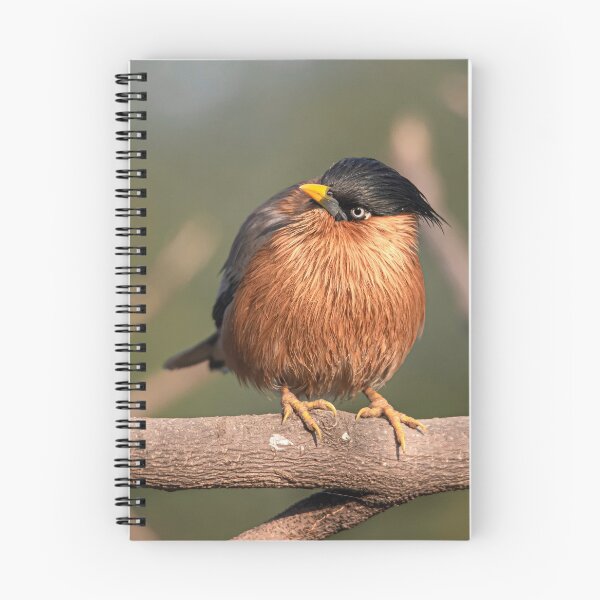 Item preview, Brahminy Myna on a branch designed and sold by Pravine Chester.