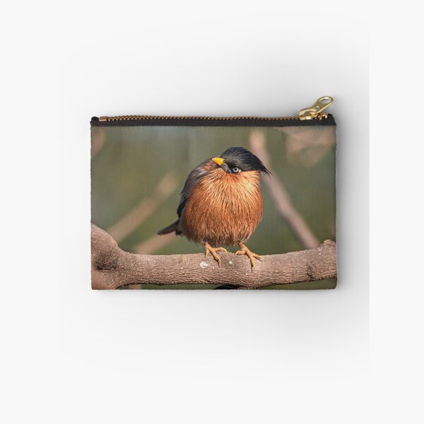 Item preview, Brahminy Myna on a branch designed and sold by Pravine Chester.