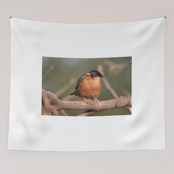 Item preview, Brahminy Myna on a branch designed and sold by Pravine Chester.