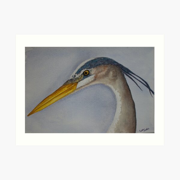 Blue Heron Art Print