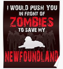Front Of Zombies Newfoundland Poster