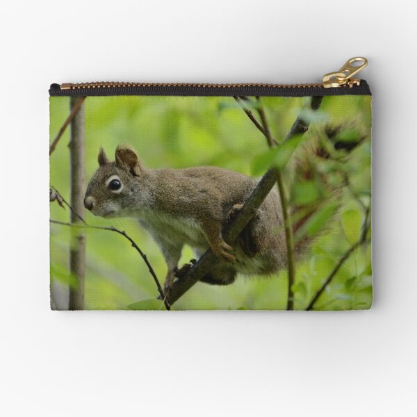 Squirrel In Greenery 1 Zipper Pouch