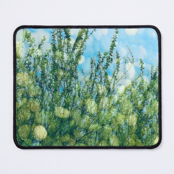 Item preview, Fine Art Water Reflections Of Trees Art Photo designed and sold by DEC02.