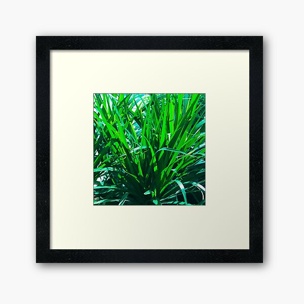 Item preview, Exotic, Exquisite Lush Green Grass Photo Art  designed and sold by DEC02.