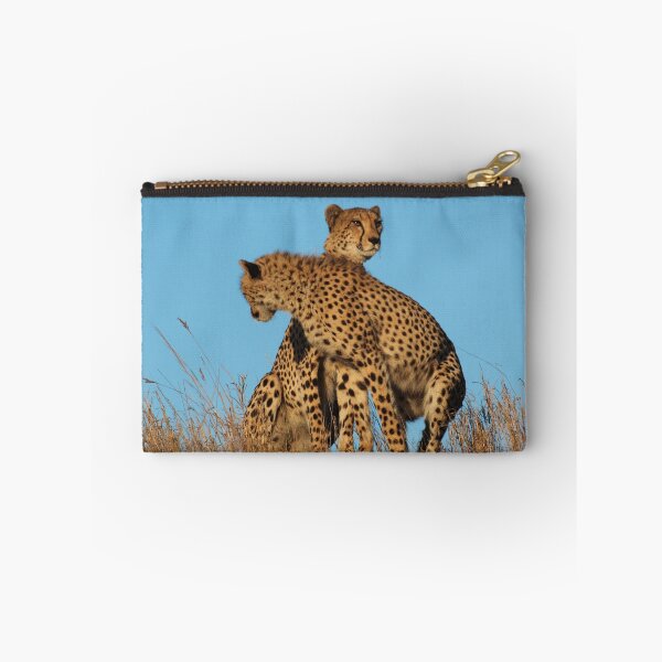 Item preview, Cheetahs searching designed and sold by corrado.