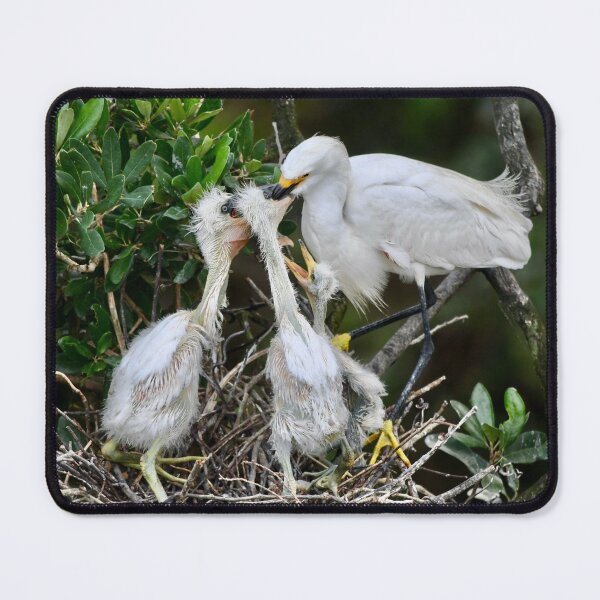 Item preview, Breakfast Time for Egrets designed and sold by richardbryce.