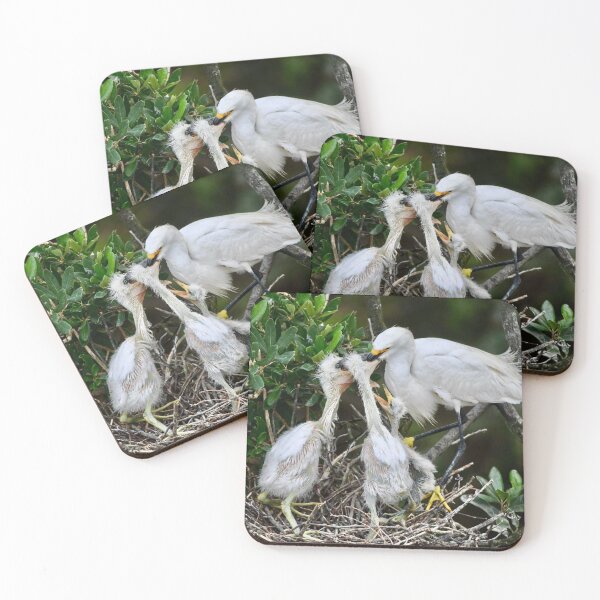 Item preview, Breakfast Time for Egrets designed and sold by richardbryce.