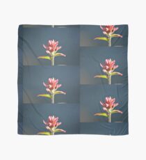 fusia alpine paint brush #1 Scarf