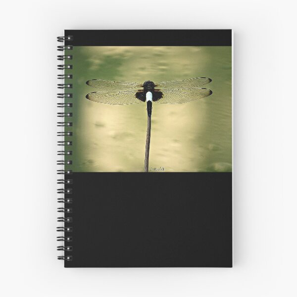 Item preview, Pied Skimmer Dragonfly designed and sold by Linda Walsh.