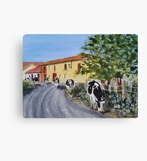 Cows on the Camino de Santiago Canvas Print