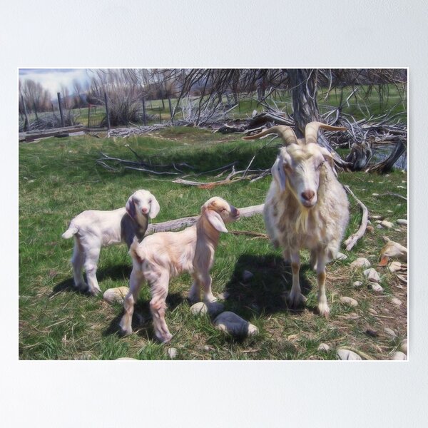 Item preview, Two Kids and a Nanny designed and sold by dogplay.