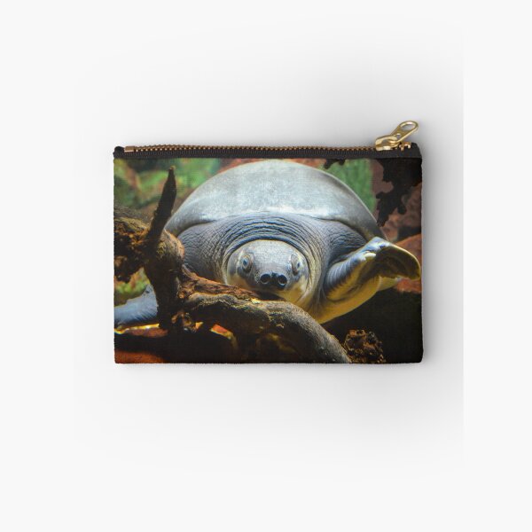 Item preview, Soft Shell Turtle  designed and sold by Jeanie93.