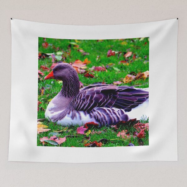 Item preview, goose photo with high resolution quality designed and sold by Allyouneed-2.