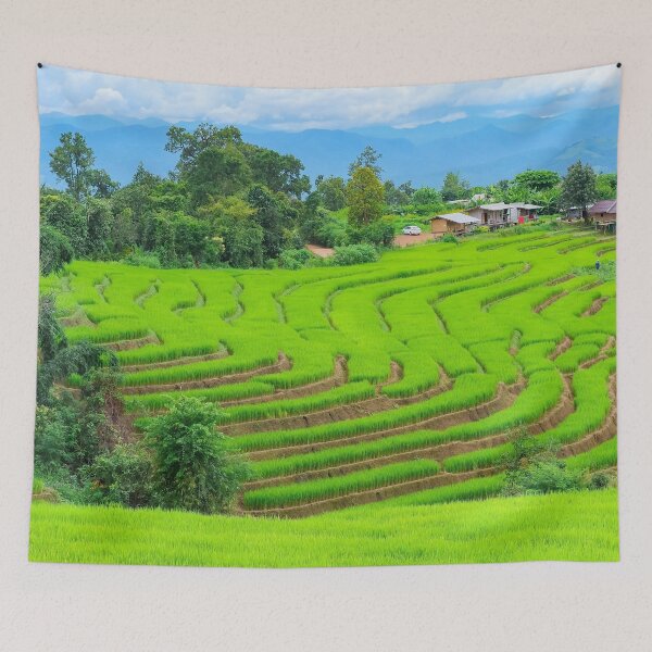 Item preview, Rice Terraces In Chiang Mai Thailand designed and sold by JTS STORE.