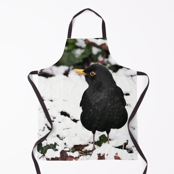 Item preview, r1001 / New Finition 2021- Merle  " dans le Froid "  (c)(t) Olavia-Olao Okaio Créations designed and sold by o.okaïo.