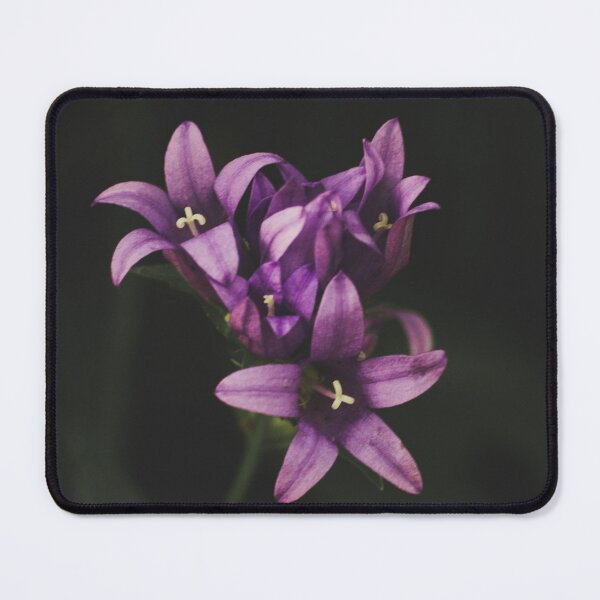 Item preview, Bellflower  designed and sold by PaulinaChmiel.