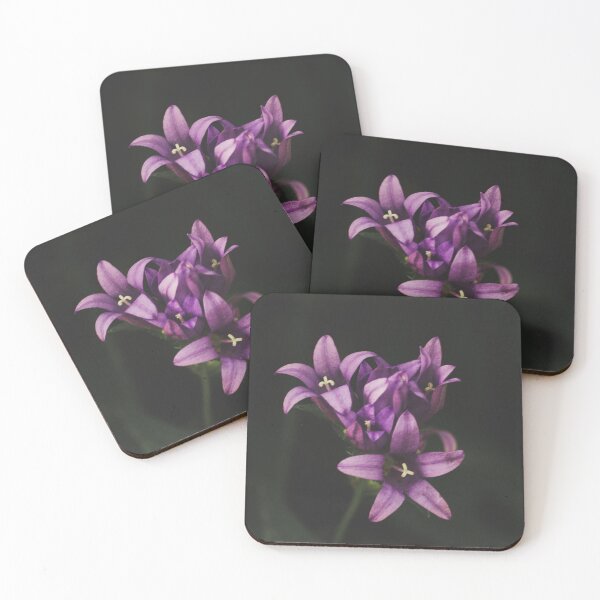 Item preview, Bellflower  designed and sold by PaulinaChmiel.
