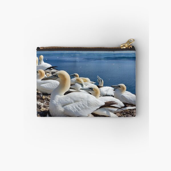 Item preview, Northern Gannets (Morus bassanus) designed and sold by Chris McIlreavy.