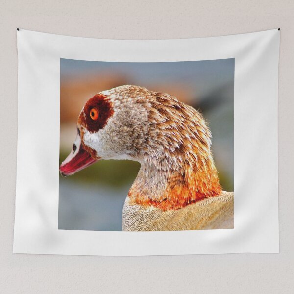 Item preview, goose photo with high resolution quality designed and sold by Allyouneed-2.