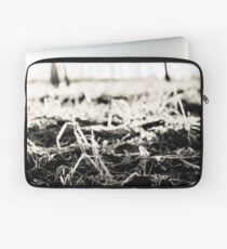 “And still, after all this time, the Sun has never said to the Earth, "You owe me." Look what happens with love like that. It lights up the sky.” ― Hafiz; Got Featured Work. Laptop Sleeve