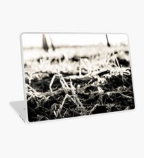 “And still, after all this time, the Sun has never said to the Earth, "You owe me." Look what happens with love like that. It lights up the sky.” ― Hafiz; Got Featured Work. Laptop Skin