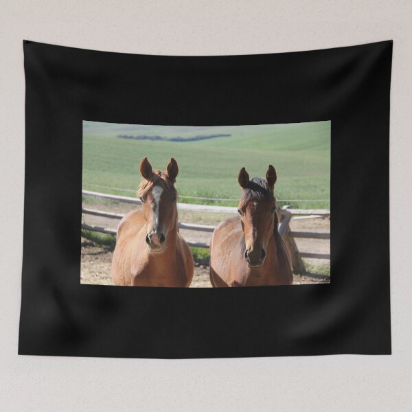 Item preview, Horse Friends  designed and sold by griffingphoto.