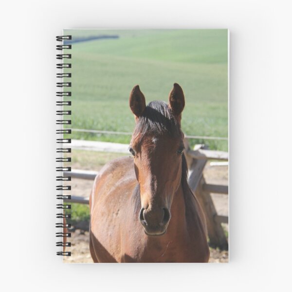 Item preview, Horse Friends designed and sold by griffingphoto.