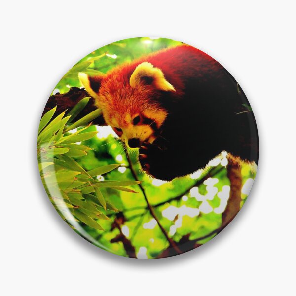 Item preview,  panda photo with high resolution quality designed and sold by Allyouneed-2.