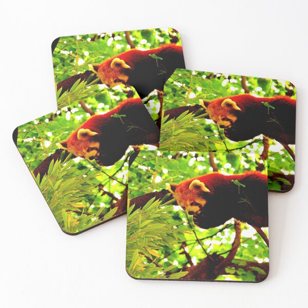Item preview,  panda photo with high resolution quality designed and sold by Allyouneed-2.