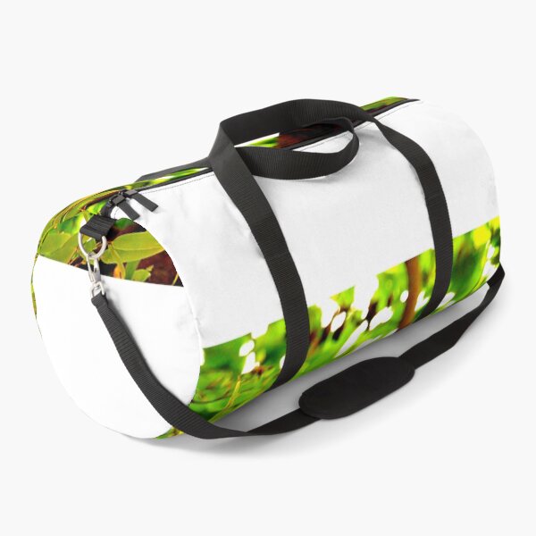 Item preview,  panda photo with high resolution quality designed and sold by Allyouneed-2.