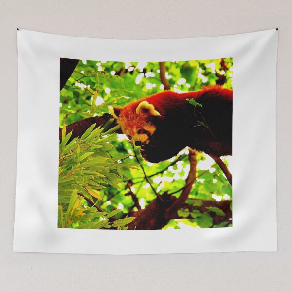 Item preview,  panda photo with high resolution quality designed and sold by Allyouneed-2.