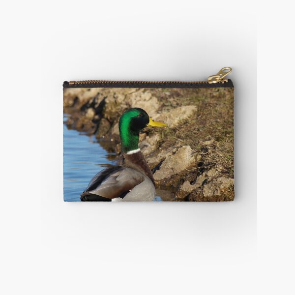 Item preview, Mr. Mallard designed and sold by NatureGreeting Cards ©ccwri.