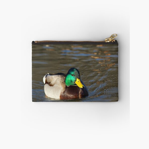 Item preview, Posing For Me, Male Mallard  designed and sold by NatureGreeting Cards ©ccwri.