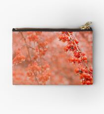 Candy Apples Studio Pouch