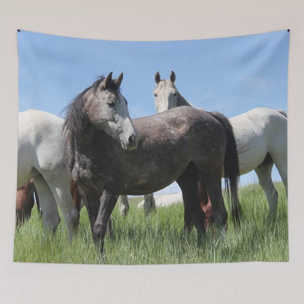 Item preview, Thoroughbred Arab Cross  designed and sold by griffingphoto.