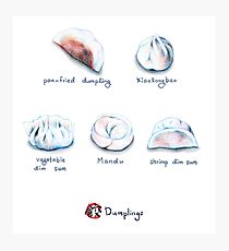 Asian food-- Dumplings Photographic Print
