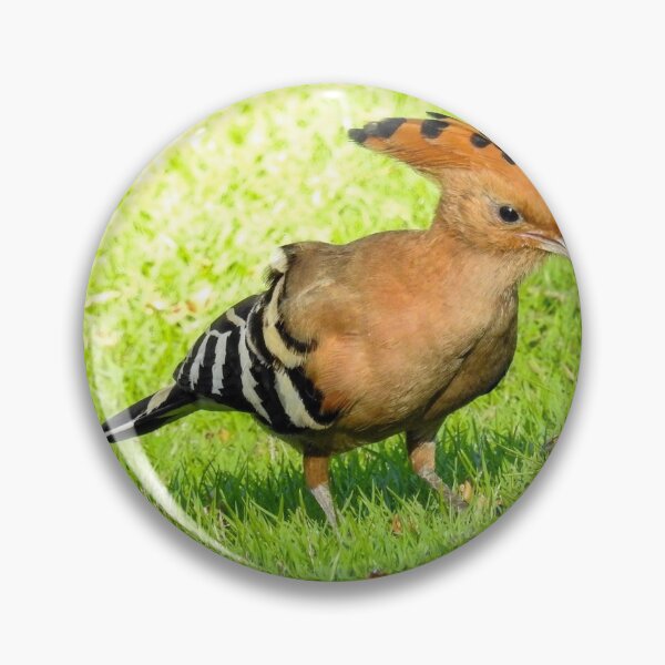 Item preview, Hoopoe designed and sold by Anita van Gendt.