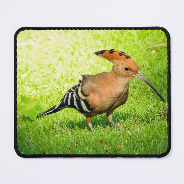 Item preview, Hoopoe designed and sold by Anita van Gendt.
