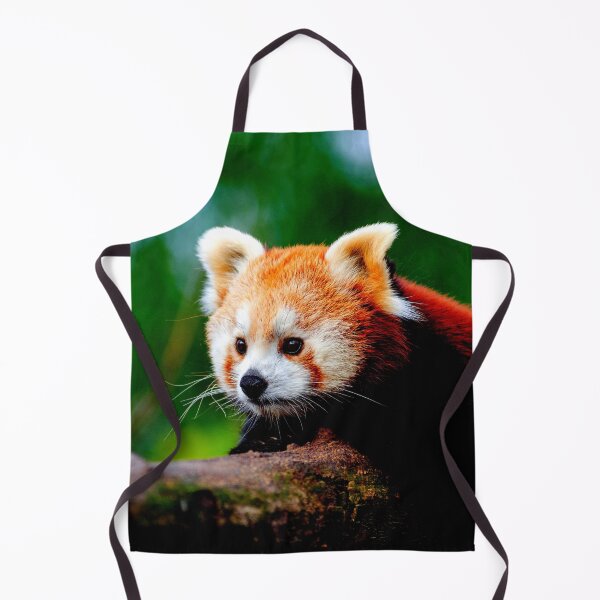 Item preview, panda photo with high resolution quality designed and sold by Allyouneed-2.