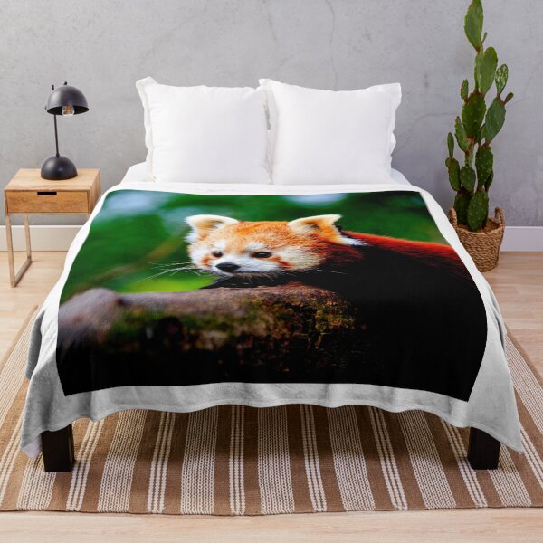Item preview, panda photo with high resolution quality designed and sold by Allyouneed-2.
