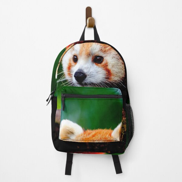 Item preview, panda photo with high resolution quality designed and sold by Allyouneed-2.