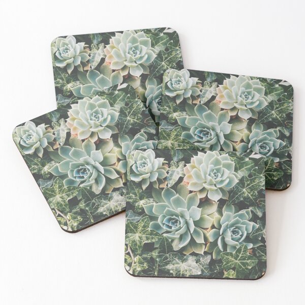 Item preview, Succulent Photography designed and sold by ETCollections.