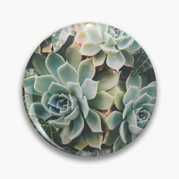 Item preview, Succulent Photography designed and sold by ETCollections.