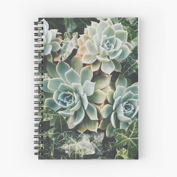 Item preview, Succulent Photography designed and sold by ETCollections.