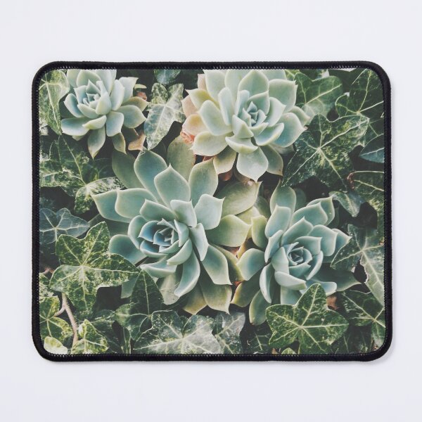 Item preview, Succulent Photography designed and sold by ETCollections.