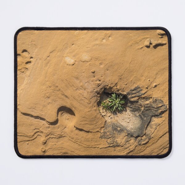 Item preview, Life on Bare Rock - Delicate Plants on Rough Limestone designed and sold by Georgia Mizuleva.